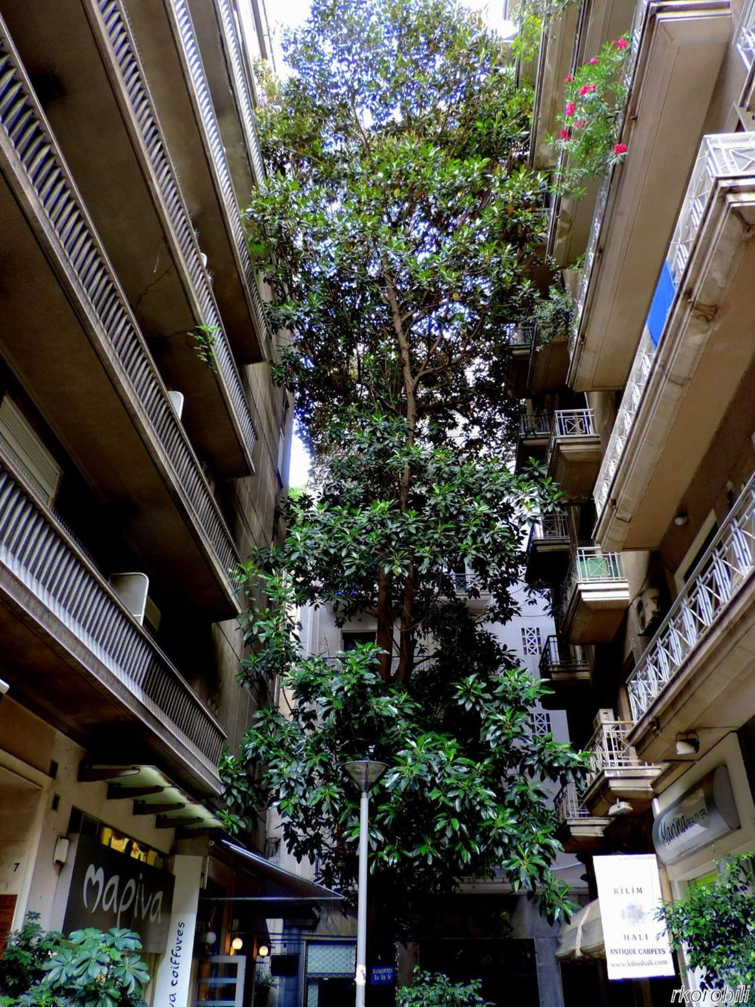 Stay At Premium Syntagma Location - Experience 1 Athen Eksteriør billede